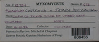 Image Associated With the Occurence